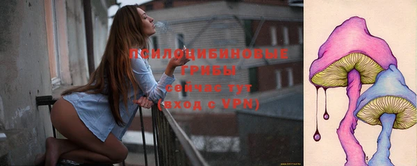 a pvp Надым