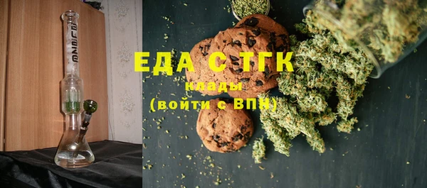 мдпв Бородино