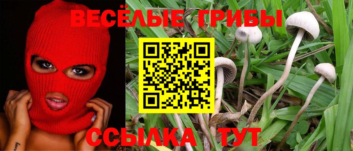  Cocaine Новоалександровск