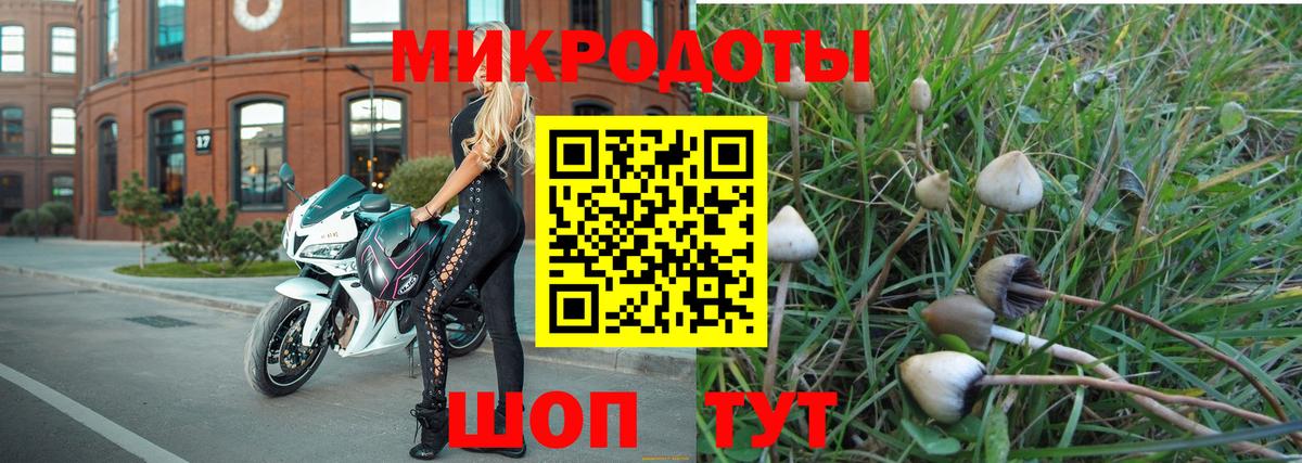 Псилоцибиновые грибы прущие грибы Новоалександровск