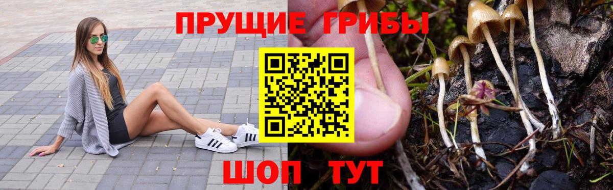Галлюциногенные грибы мухоморы  Вход с VPN  Новоалександровск 